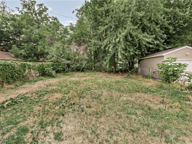 548 E 118th Street, Cleveland, OH 44108 Photo 3