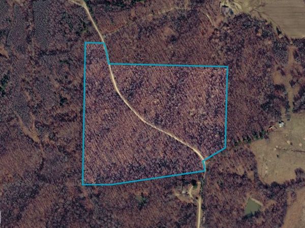 1 Tract County Road 408, Lafe, AR 72436