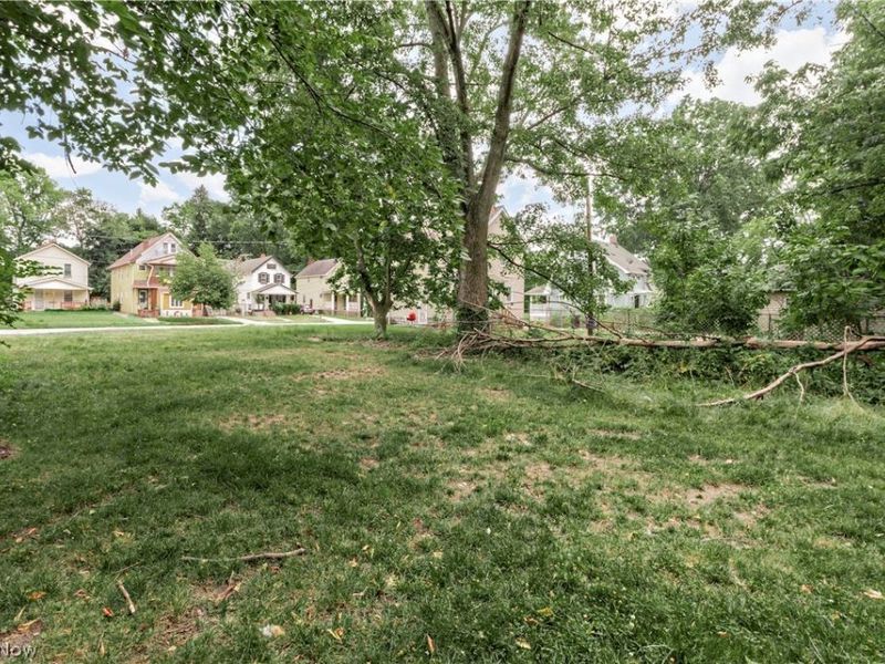 884 E 144th Street, Cleveland, OH 44110 Photo 3