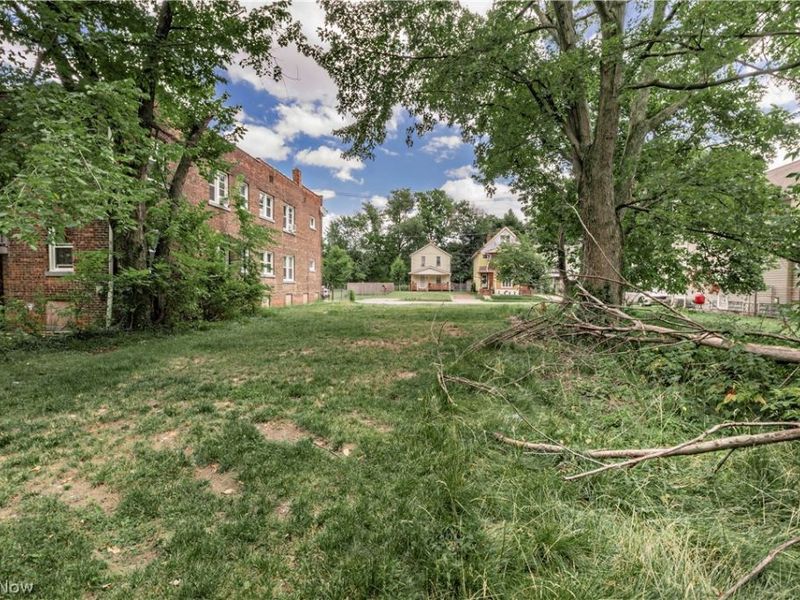 884 E 144th Street, Cleveland, OH 44110 Photo 4