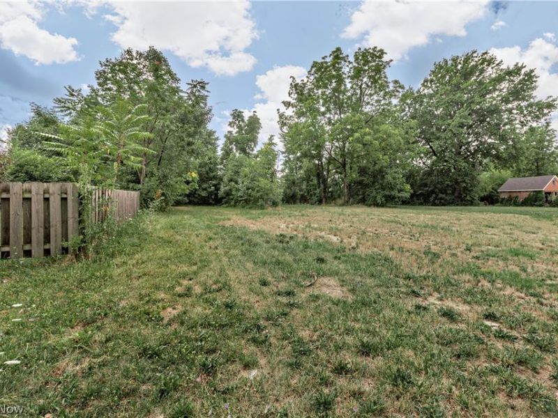 9906 Lamontier Avenue, Cleveland, OH 44104 Photo 5