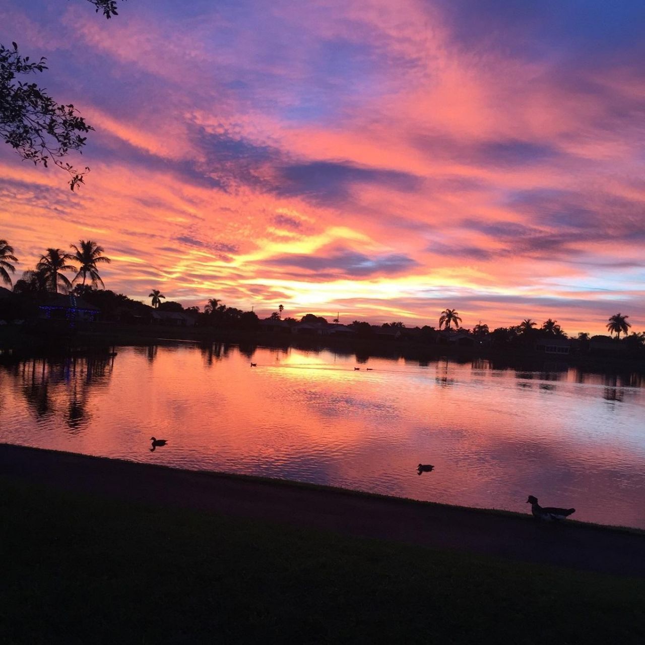 5075 Mirror Lakes Boulevard, Boynton Beach, FL 33472 Photo