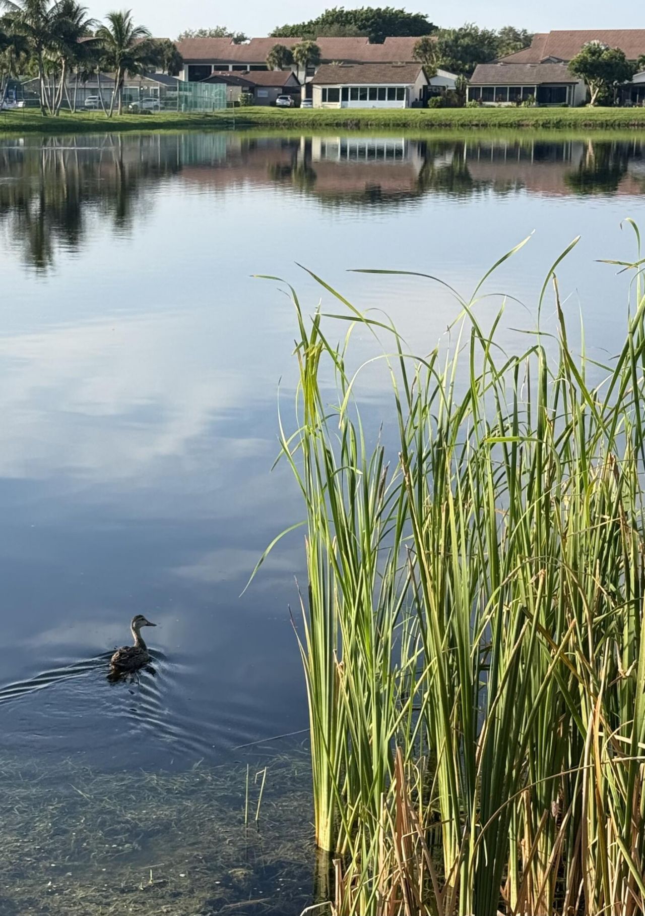 5075 Mirror Lakes Boulevard, Boynton Beach, FL 33472 Photo