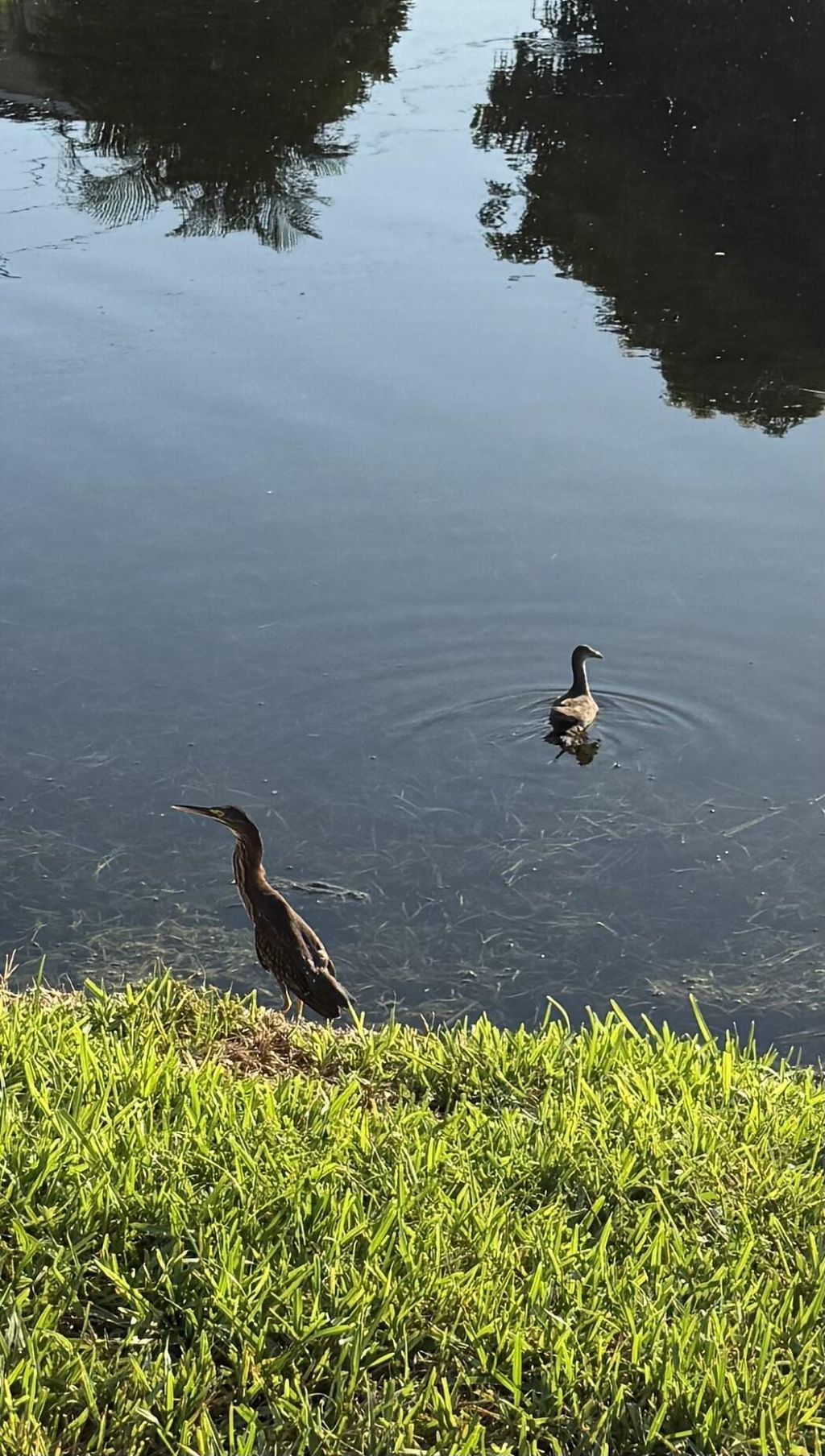 5075 Mirror Lakes Boulevard, Boynton Beach, FL 33472 Photo