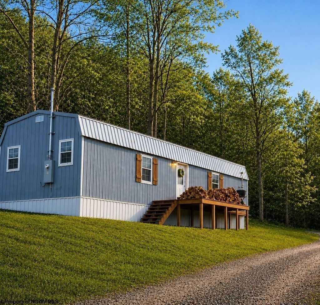 1088 Campbells Run Road, Metz, WV 26585 Main Photo