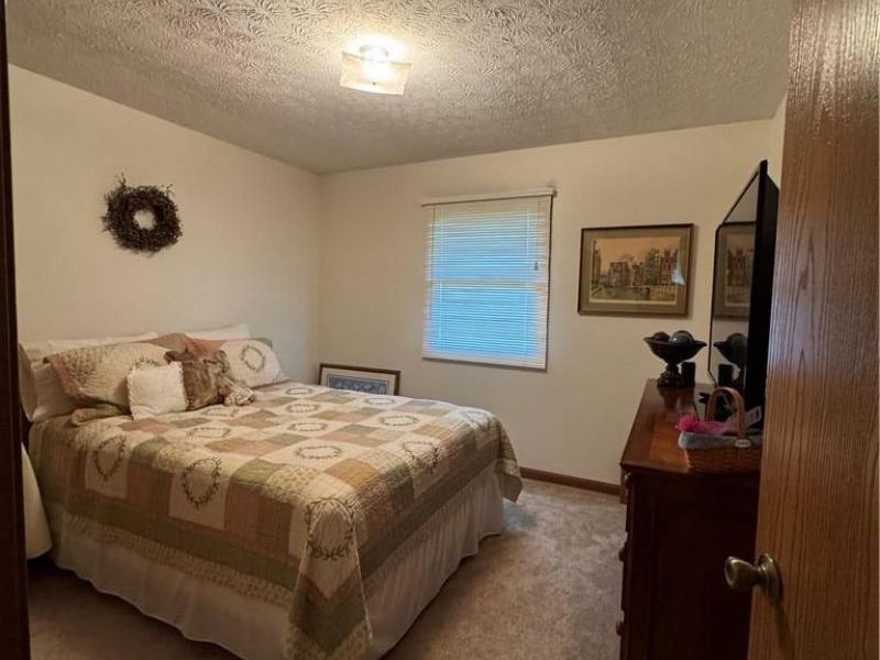 9 Cassie Lane, West Alexandria, OH 45381 Photo 16