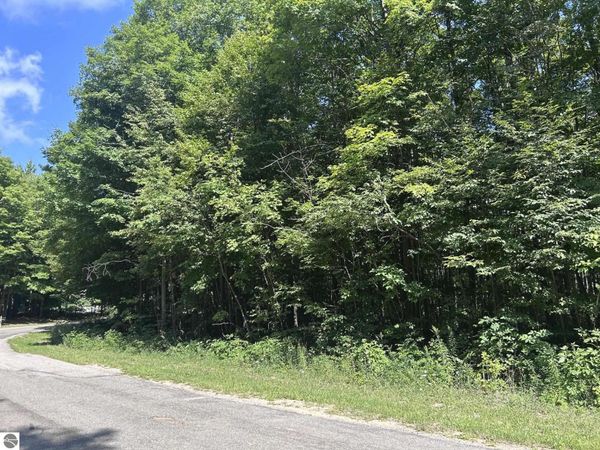 Antioch Drive, Mesick, MI 49668