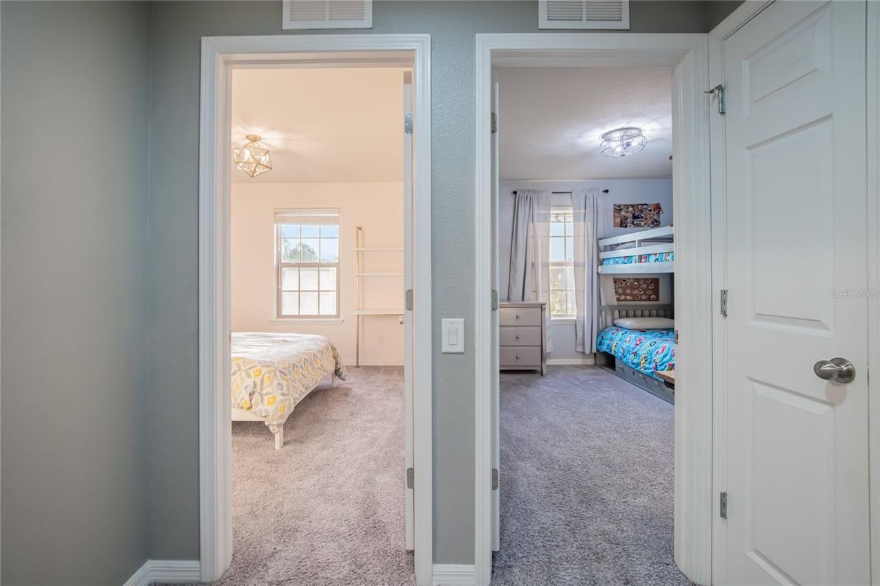 4346 O Rourke Court, Wesley Chapel, FL 33543 Photo