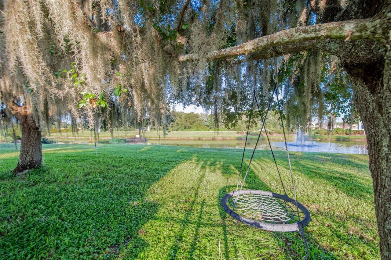 4346 O Rourke Court, Wesley Chapel, FL 33543 Photo