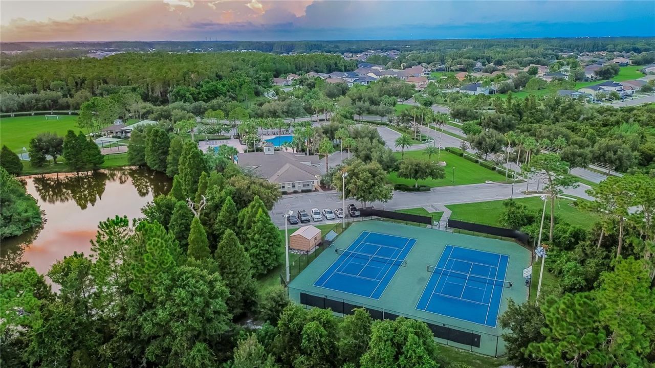 4346 O Rourke Court, Wesley Chapel, FL 33543 Photo