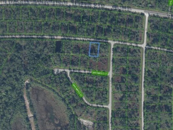 7009 VIRTUDES STREET , SEBRING, FL 33872