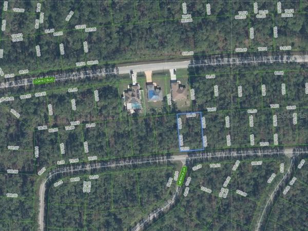 7234 VIRTUDES STREET , SEBRING, FL 33872