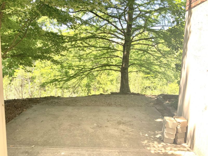 10156 Lapalco Court, Union, KY 41091 Photo 31