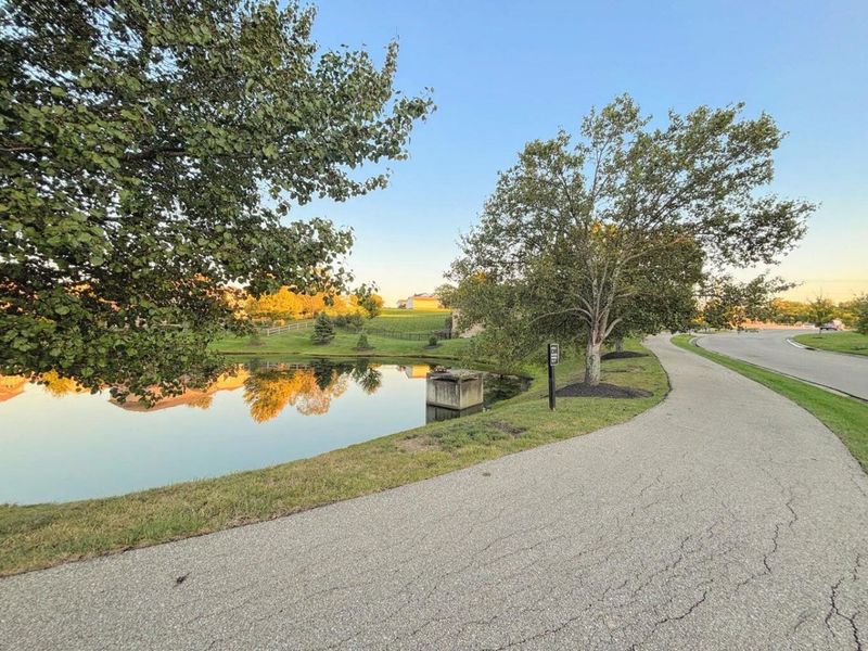 10156 Lapalco Court, Union, KY 41091 Photo 41
