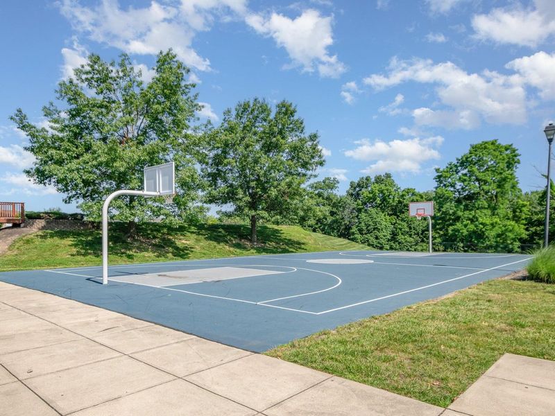 10156 Lapalco Court, Union, KY 41091 Photo 46