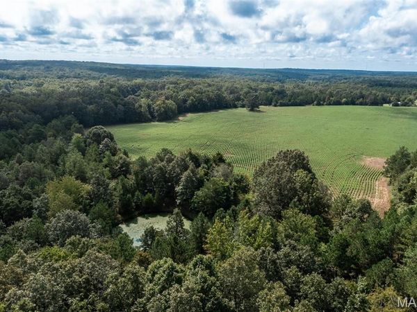 Tract 2 BCR 810 , Glen Allen, MO 63751