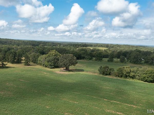 Tract 1 BCR 810 , Glen Allen, MO 63645