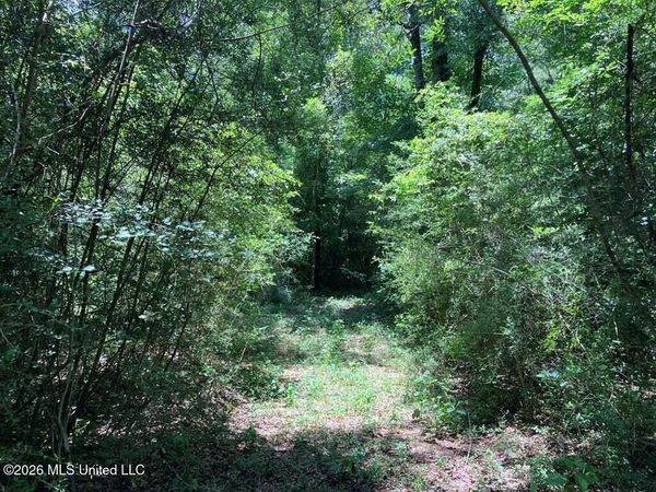 Ms-48 , Tylertown, MS 39667