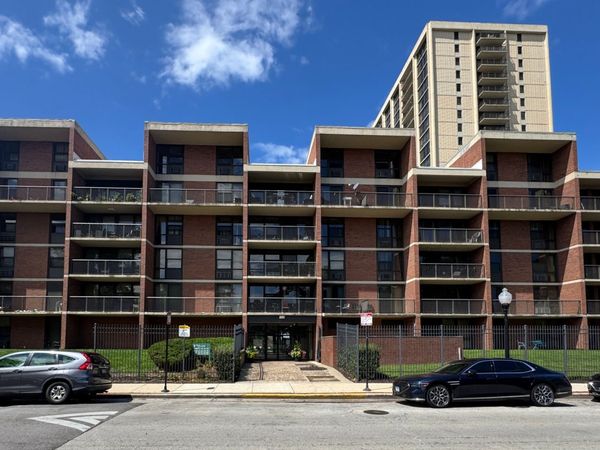 2921 S Michigan Avenue , Unit 109, Chicago, IL 60616