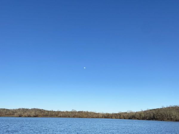 0 Roan Creek, Lobelville, TN 37097