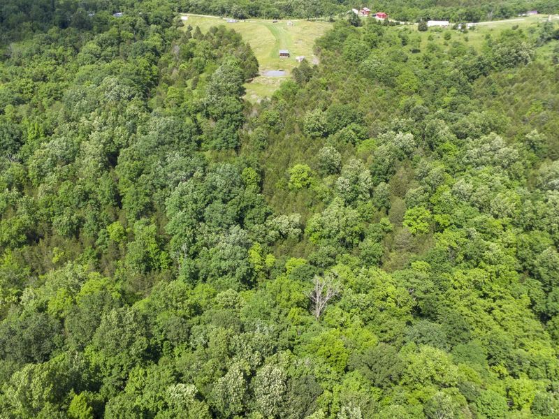 461 Adams Road, Williamstown, KY 41097 Photo 23