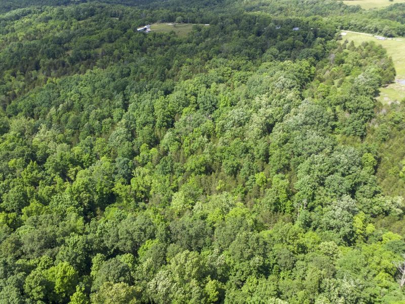 461 Adams Road, Williamstown, KY 41097 Photo 24