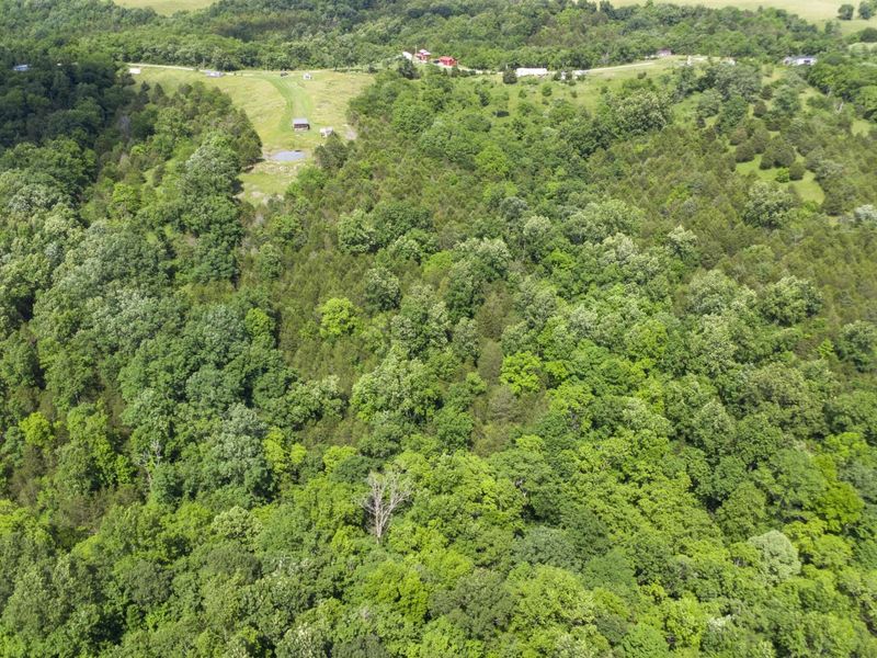 461 Adams Road, Williamstown, KY 41097 Photo 25