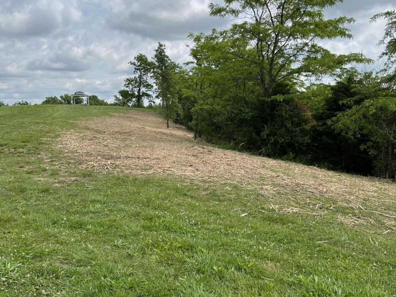 461 Adams Road, Williamstown, KY 41097 Photo 38
