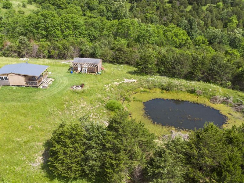461 Adams Road, Williamstown, KY 41097 Photo 4