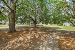 377 Woodland Circle  photo 4