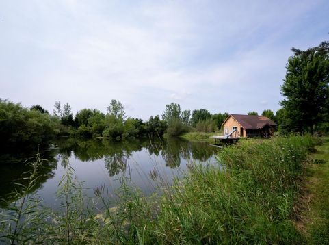 Main Photo
