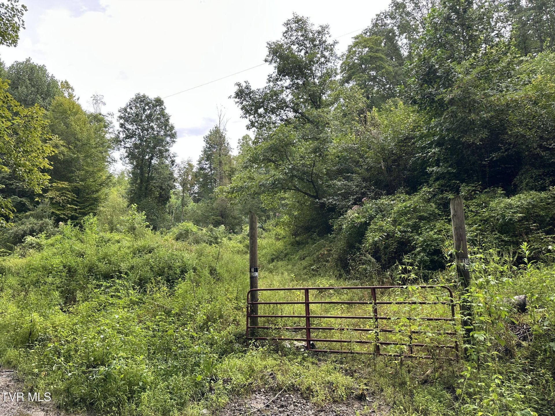 Tbd Canary Trail, Pennington Gap, VA 24277 Main Photo