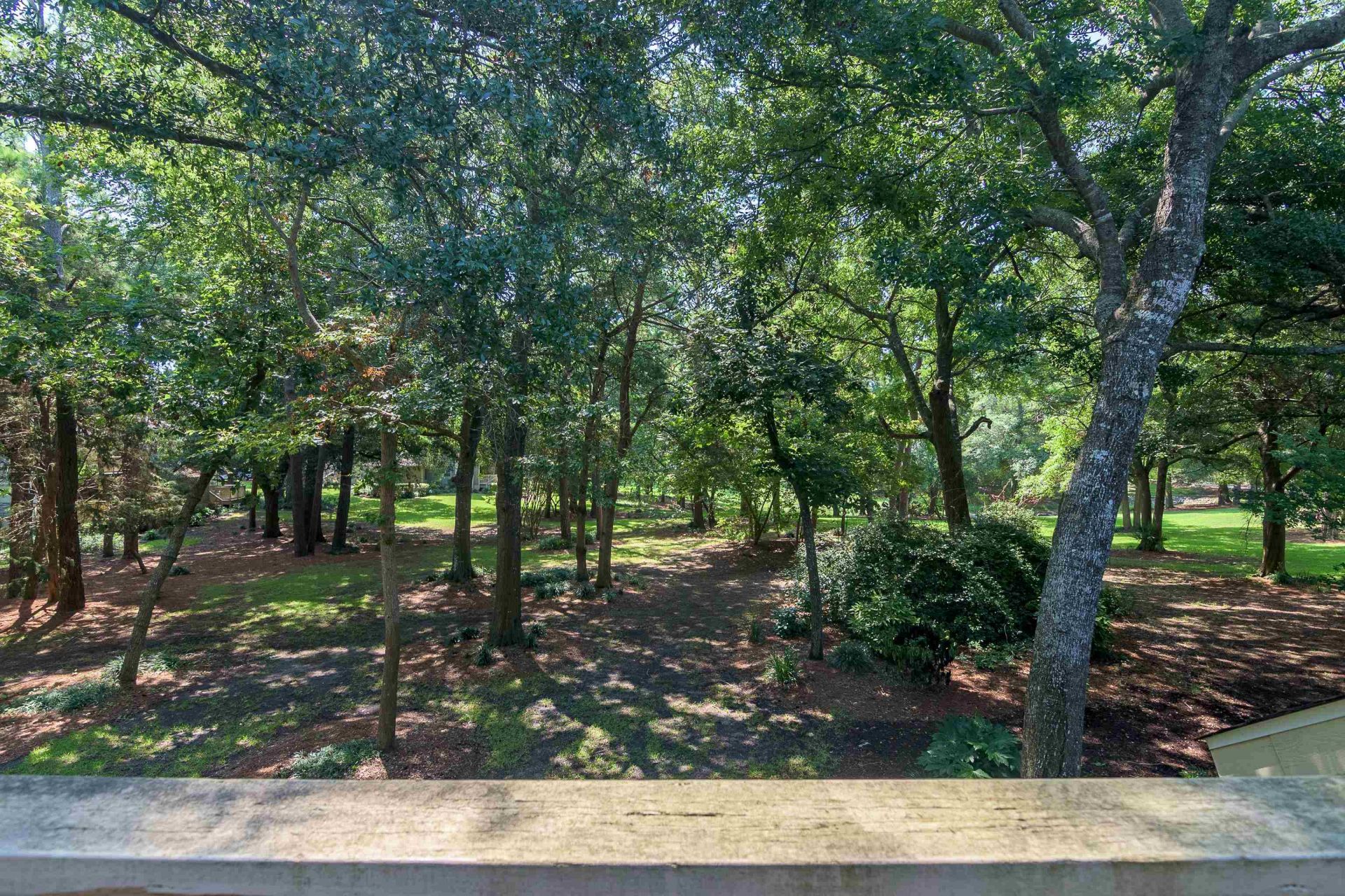 151 Wetherby Way Photo 46