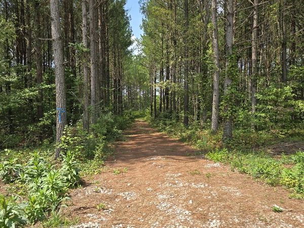 T23L5 Sheep Ranch Road, Robbins, TN 37852