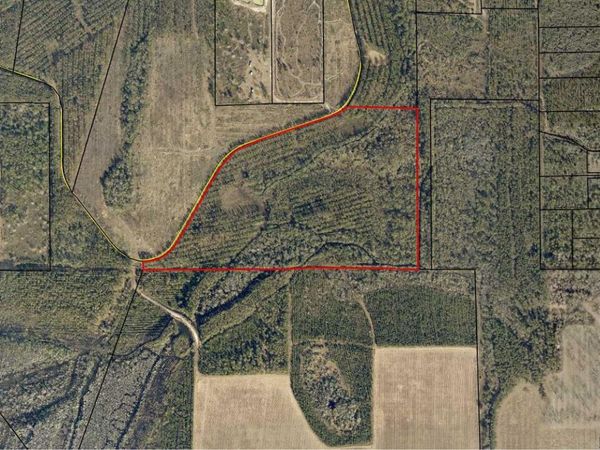 BRIER PATCH LANE, Other, GA 31501