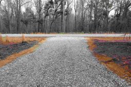 3018 Ebenezer Road  photo 4