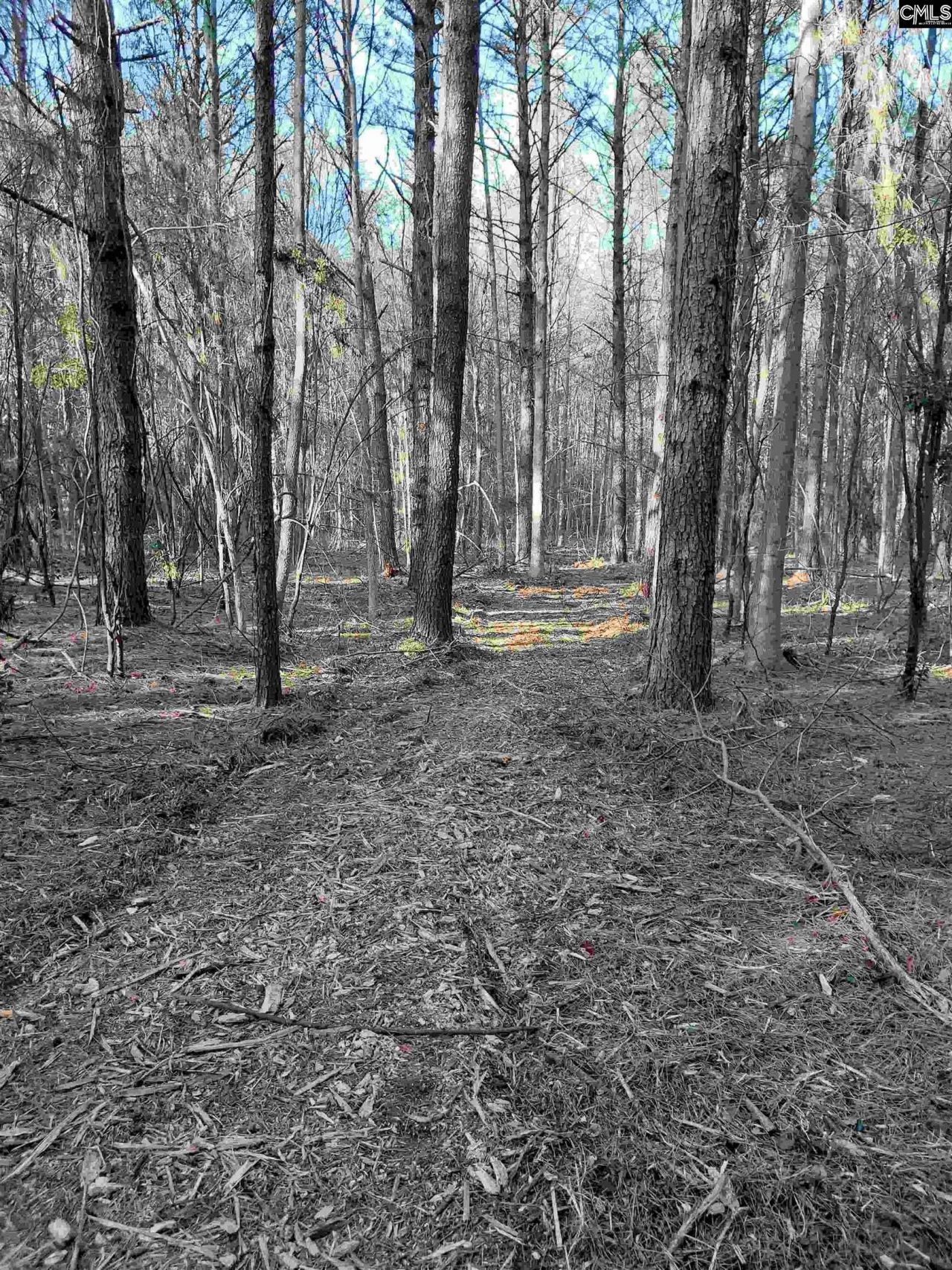 3018 Ebenezer Road  Photo 20