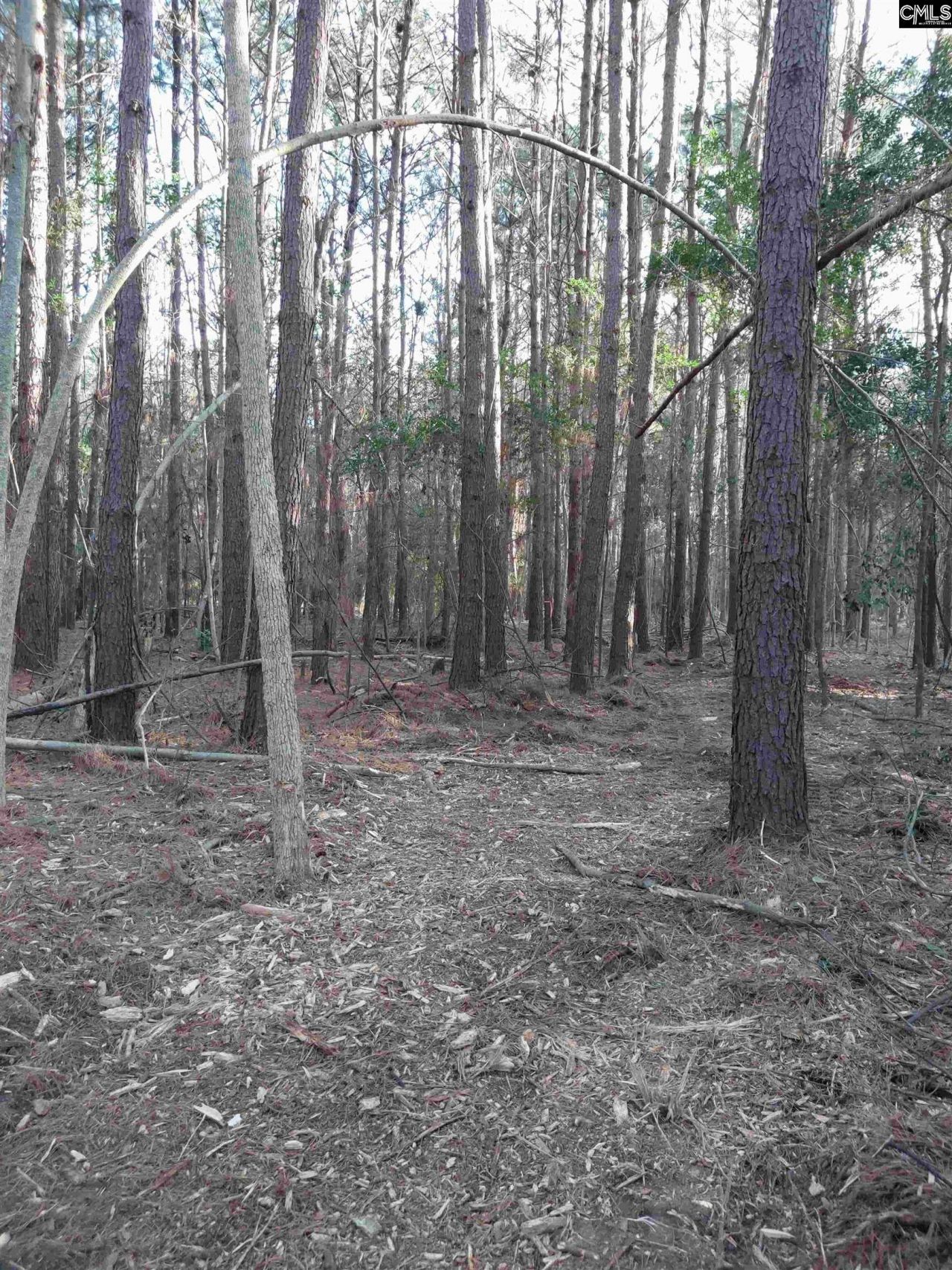 3018 Ebenezer Road  Photo 8
