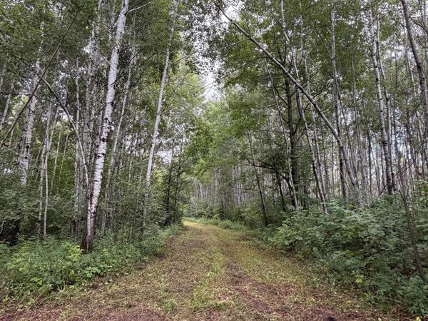 TBD County Road 12 , Kettle River, MN 55767