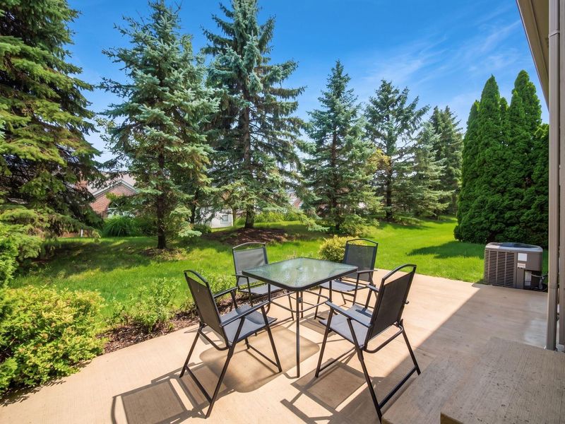 3677 Foresta Grand Drive, Powell, OH 43065 Photo 49