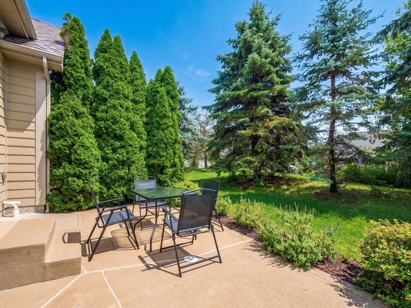 3677 Foresta Grand Drive, Powell, OH 43065 Photo 51