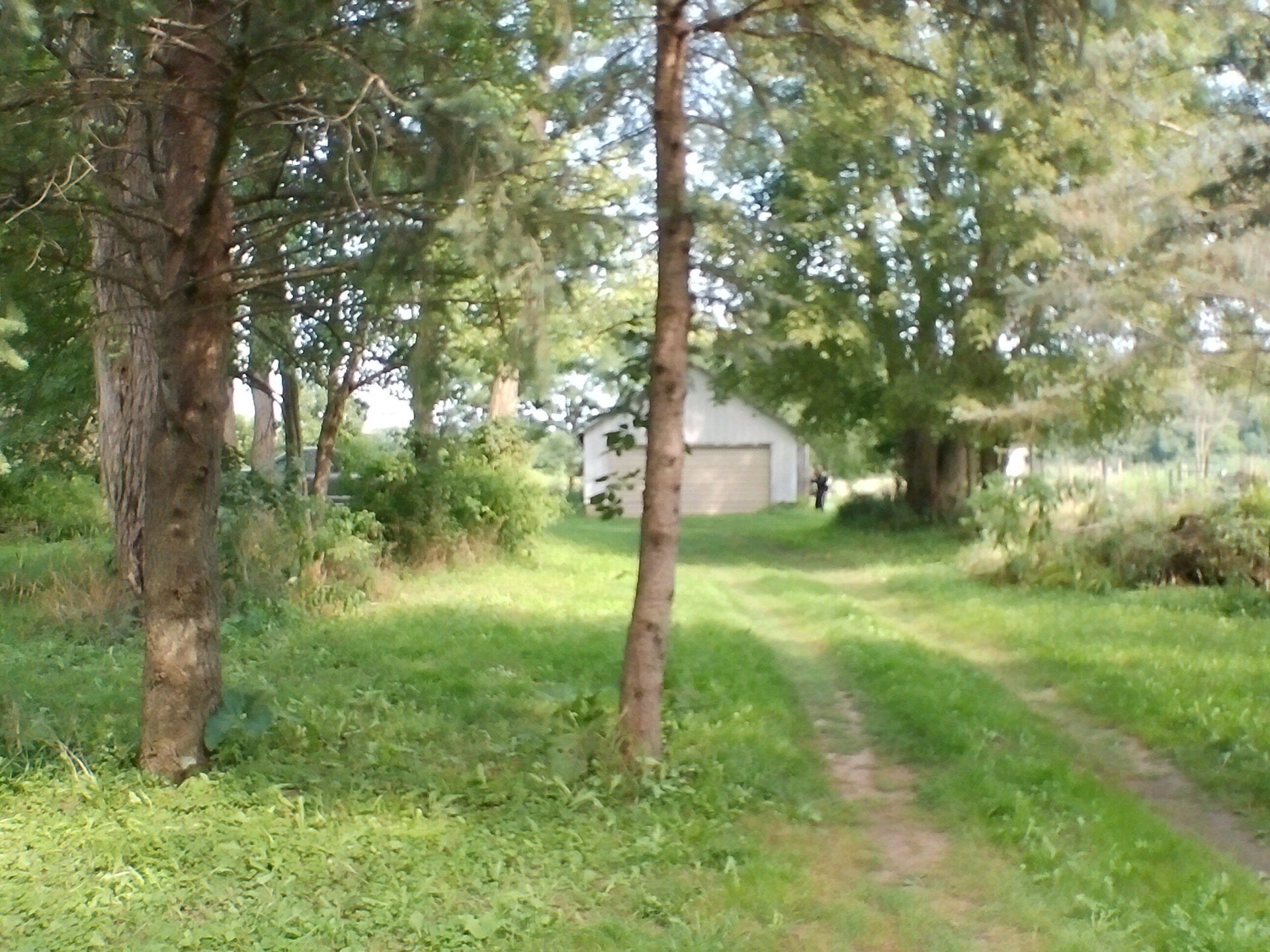 Musbach Road, Munith, MI 49259 Main Photo