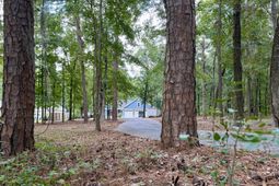 3 Hickory Landing Court photo 4