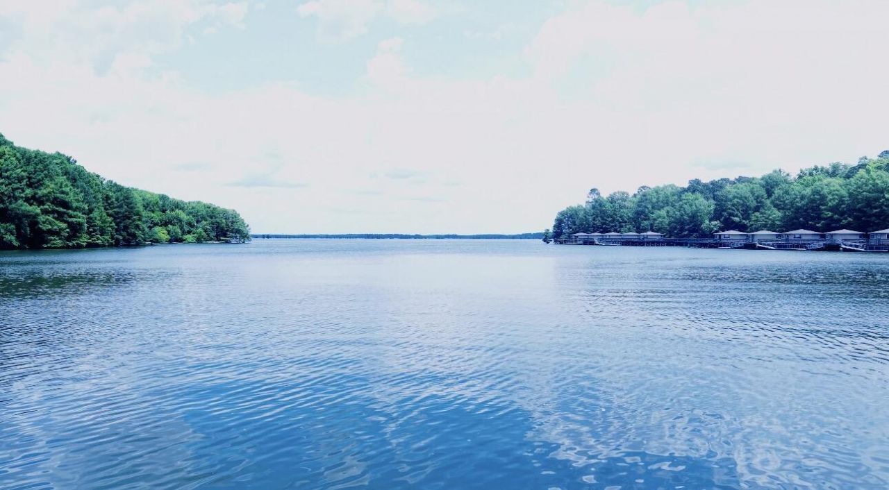 3 Hickory Landing Court Photo 4