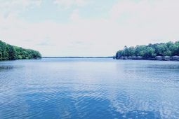 3 Hickory Landing Court photo 4