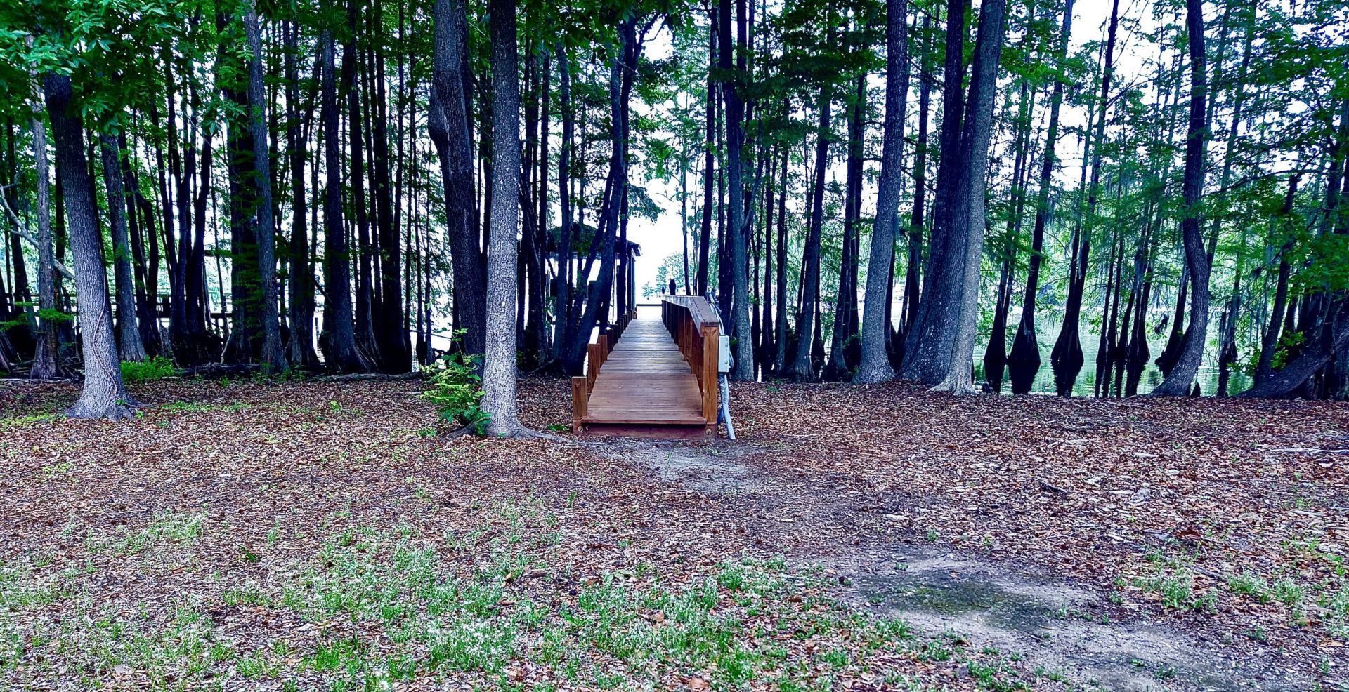 3 Hickory Landing Court Photo 7