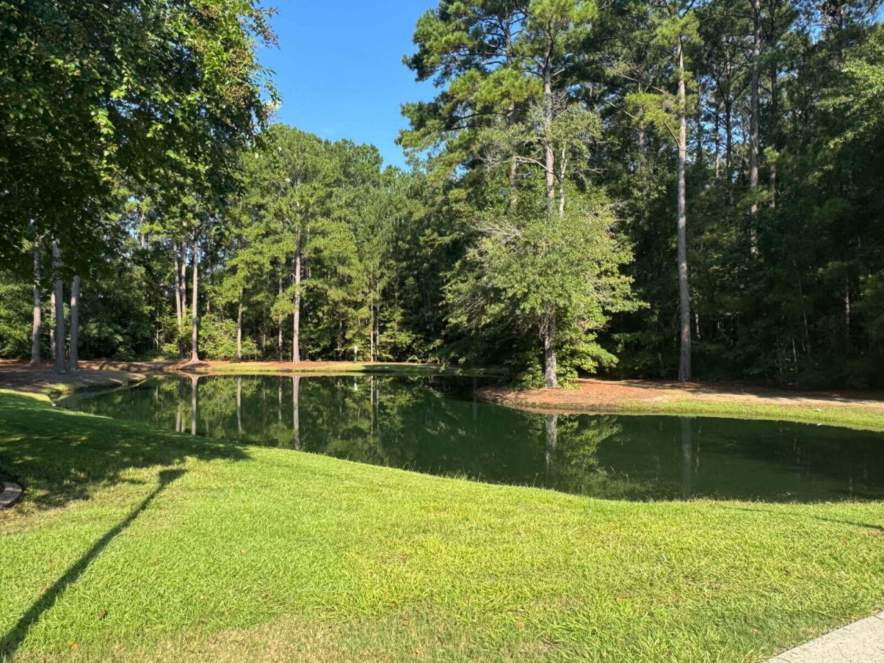 4837 Shady Tree Lane Photo 23