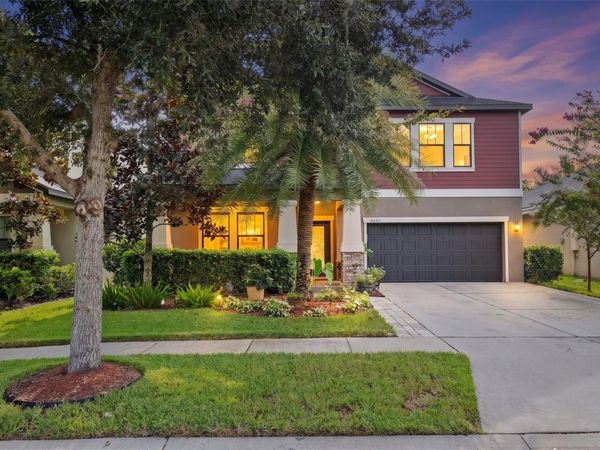 14242 BLUE DASHER DRIVE , RIVERVIEW, FL 33569
