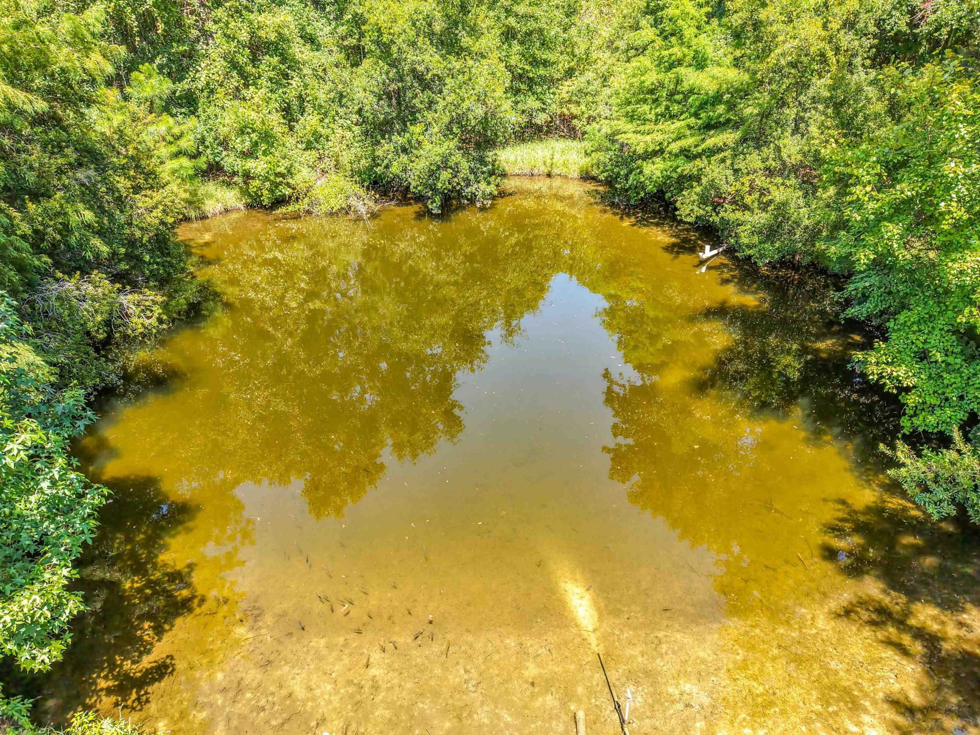 449 Drake Acres Road , Quincy, FL 32351 Photo