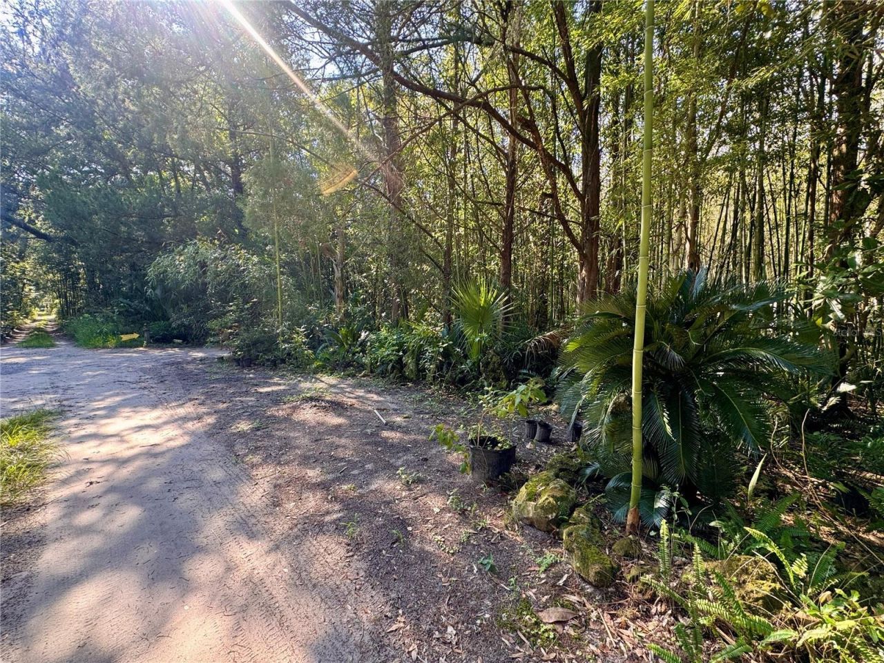 17970 SW 111th Street , Brooker, FL 32622 Photo